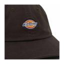 Dickies Hardwick Cap Dark Brown