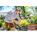 Dickies Mens Dri-tech Moisture Control Quarter Socks Multipack Socks
