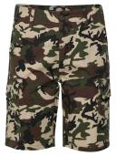 Dickies - Millerville Camouflage - Shorts