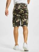 Dickies - Millerville Camouflage - Shorts