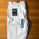 Dickies Occupational 1953 Painter's Utility Pant - White, 38 32