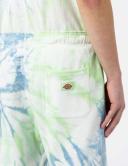 Dickies - Seatac Celadon Green - Shorts