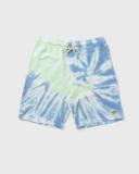 Dickies - Seatac Celadon Green - Shorts