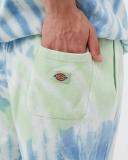 Dickies - Seatac Celadon Green - Shorts