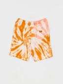 Dickies - Seatac Golden Ochre - Shorts