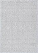 Dracus Grey Indoor Outdoor Rug - 300x400cm