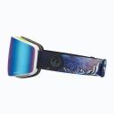 Dragon PXV Goggles