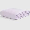 Dream - Sage Organic Cotton Jersey Fitted Sheet - King Single - Fine-Day - Bedding & Linen