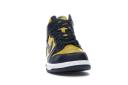 Dunk High SP 'Michigan' 2020 CZ8149-700