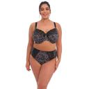 Elomi Bra Black Serengeti Stretch-lace Morgan Underwire Bra 36G