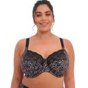 Elomi Bra Black Serengeti Stretch-lace Morgan Underwire Bra 36G