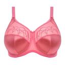 Elomi Cate Full Cup Bra Desert Rose 14GG