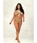 Elomi Cate Full Cup Bra Raisin 22g