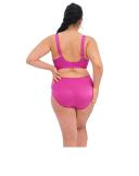 Elomi Cate Underwired Full Cup Banded Bra - Camelia - 12HH Camelia