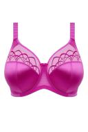 Elomi Cate Underwired Full Cup Banded Bra - Camelia - 14K Camelia