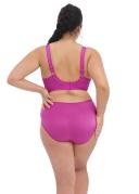 Elomi Cate Underwired Full Cup Banded Bra - Camelia - 14K Camelia