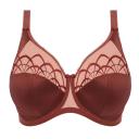 Elomi Cate Underwired Full Cup Banded Bra - Dark Copper - 14FF
