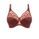 Elomi Cate Underwired Full Cup Banded Bra - Dark Copper - 22FF
