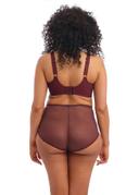 Elomi Charley Plunge Bra Pansy 16F