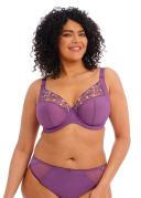 Elomi Charley Plunge Bra Pansy 18G