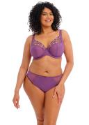 Elomi Charley Plunge Bra Pansy 18G
