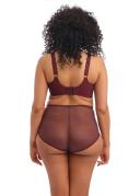 Elomi Charley Plunge Bra Pansy 18G