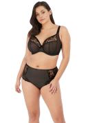 Elomi Charley Plunge Bra Pansy 18G