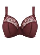 Elomi Charley Plunge Bra Pansy 18G
