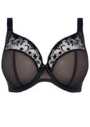 Elomi Charley Plunge Bra Pansy 18G