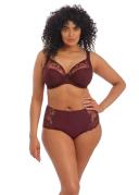 Elomi Charley Plunge Bra Pansy 18G