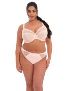 Elomi Charley Plunge Bra Pansy 18G