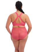 Elomi Charley Underwire Plunge Bra - Honeysuckle - 12G Honeysuckle