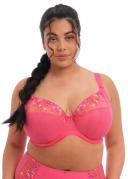 Elomi Charley Underwire Plunge Bra - Honeysuckle - 16H Honeysuckle