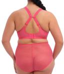 Elomi Charley Underwire Plunge Bra - Honeysuckle - 16H Honeysuckle