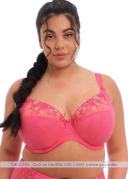Elomi Charley Underwire Plunge Bra - Honeysuckle - 18G Honeysuckle