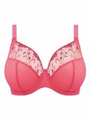 Elomi Charley Underwire Plunge Bra - Honeysuckle - 18G Honeysuckle