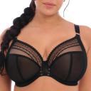 Elomi Matilda Plunge Bra Black Star | EL8900BKS | Poinsettia - 40FF Black Star