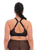 Elomi Matilda Plunge Bra Black Star | EL8900BKS | Poinsettia - 40FF Black Star