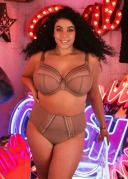 Elomi Matilda Underwired Plunge Bra - Clove - 22E Clove
