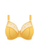 Elomi Matilda Underwired Plunge Bra - Iris - 14HH Iris
