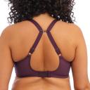 Elomi Matilda Underwired Plunge Bra - Wine Diamond - 18E Wine Diamond