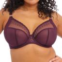 Elomi Matilda Underwired Plunge Bra - Wine Diamond - 18E Wine Diamond