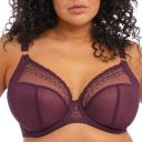 Elomi Matilda UW Plunge Bra Wine Diamond 14FF