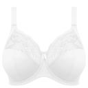 Elomi Morgan Stretch Banded Underwire Bra Women's Bra White : 38DD (US 38dd)