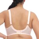 Elomi Morgan Stretch Banded Underwire Bra Women's Bra White : 38DD (US 38dd)