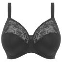 Elomi Morgan Stretch Banded Underwire Bra Women's Bra White : 38DD (US 38dd)