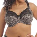 Elomi Morgan Underwire Banded Bra - Toasted almond