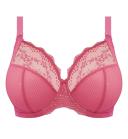Elomi Women's
