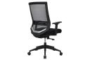 Ergolux Pisces Mesh Office Chair