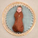 ergoPouch Cocoon Swaddle Bag 2.5 TOG 3 Sizes - Acorn